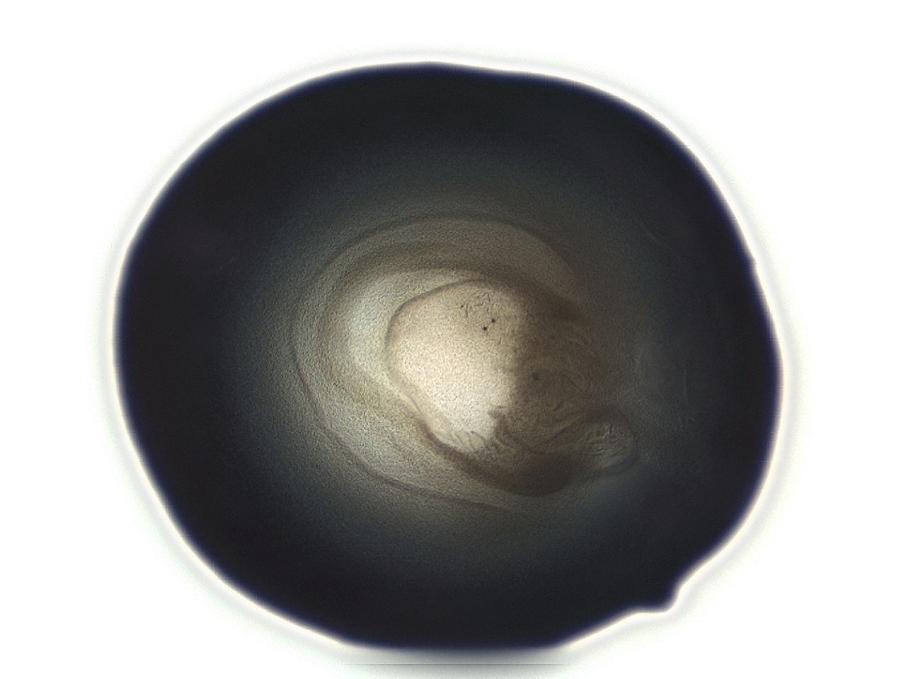 04ah_F2_ImagerDefaults_3.jpg