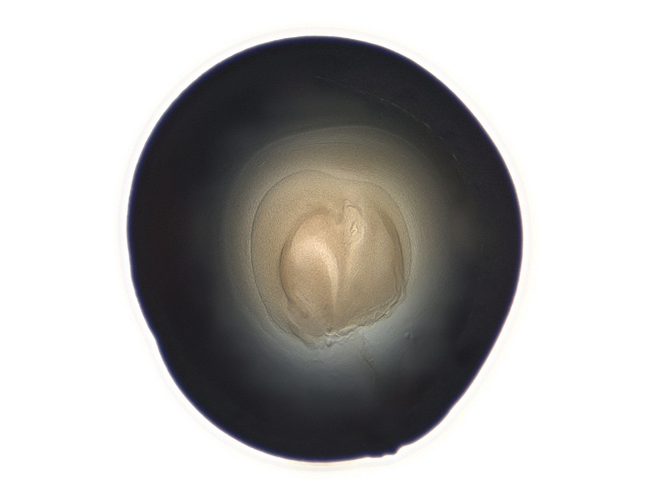04ah_F8_ImagerDefaults_3.jpg