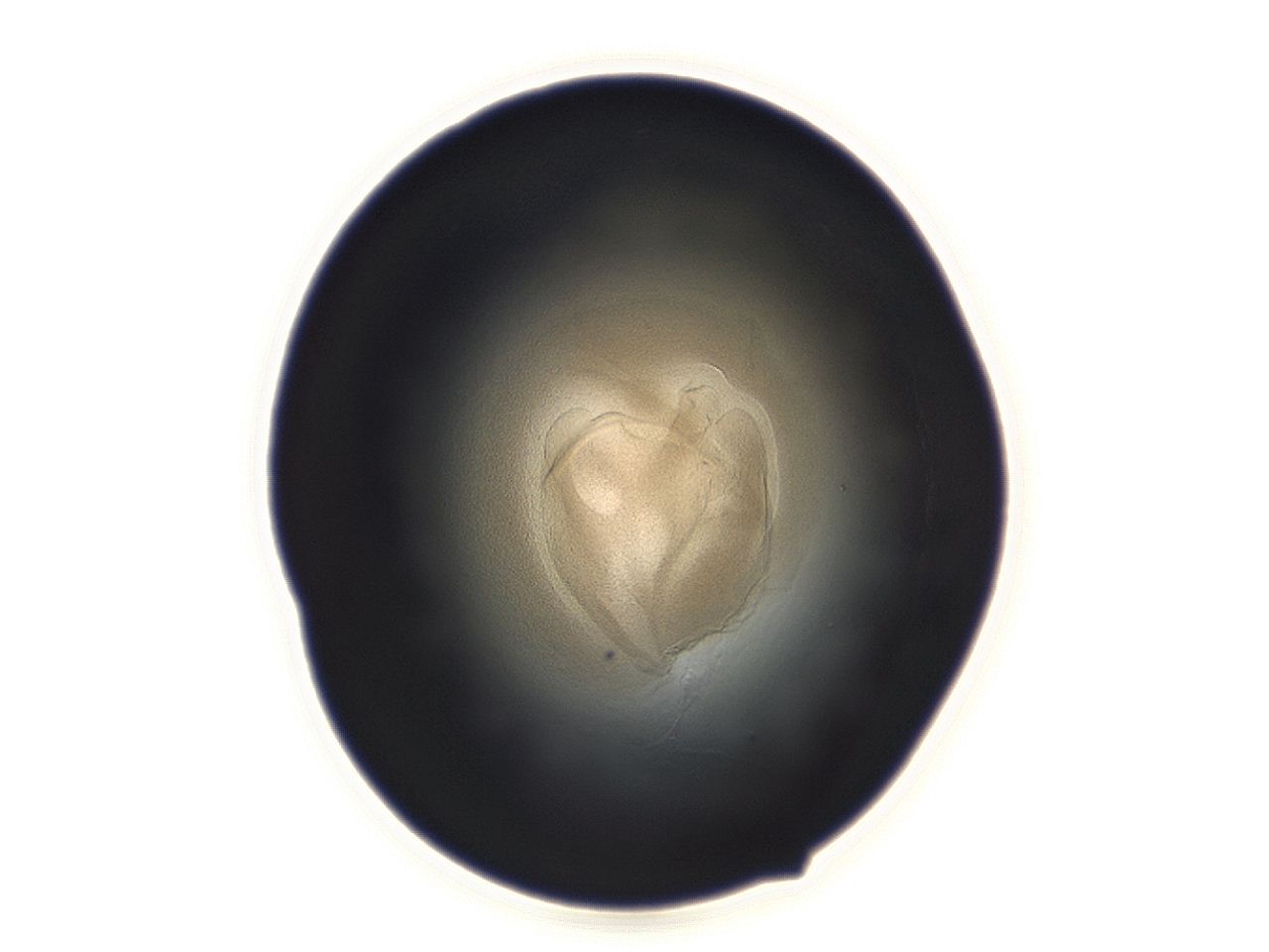 04ah_F9_ImagerDefaults_3.jpg