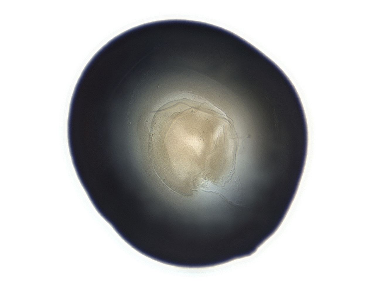 04ah_F10_ImagerDefaults_3.jpg