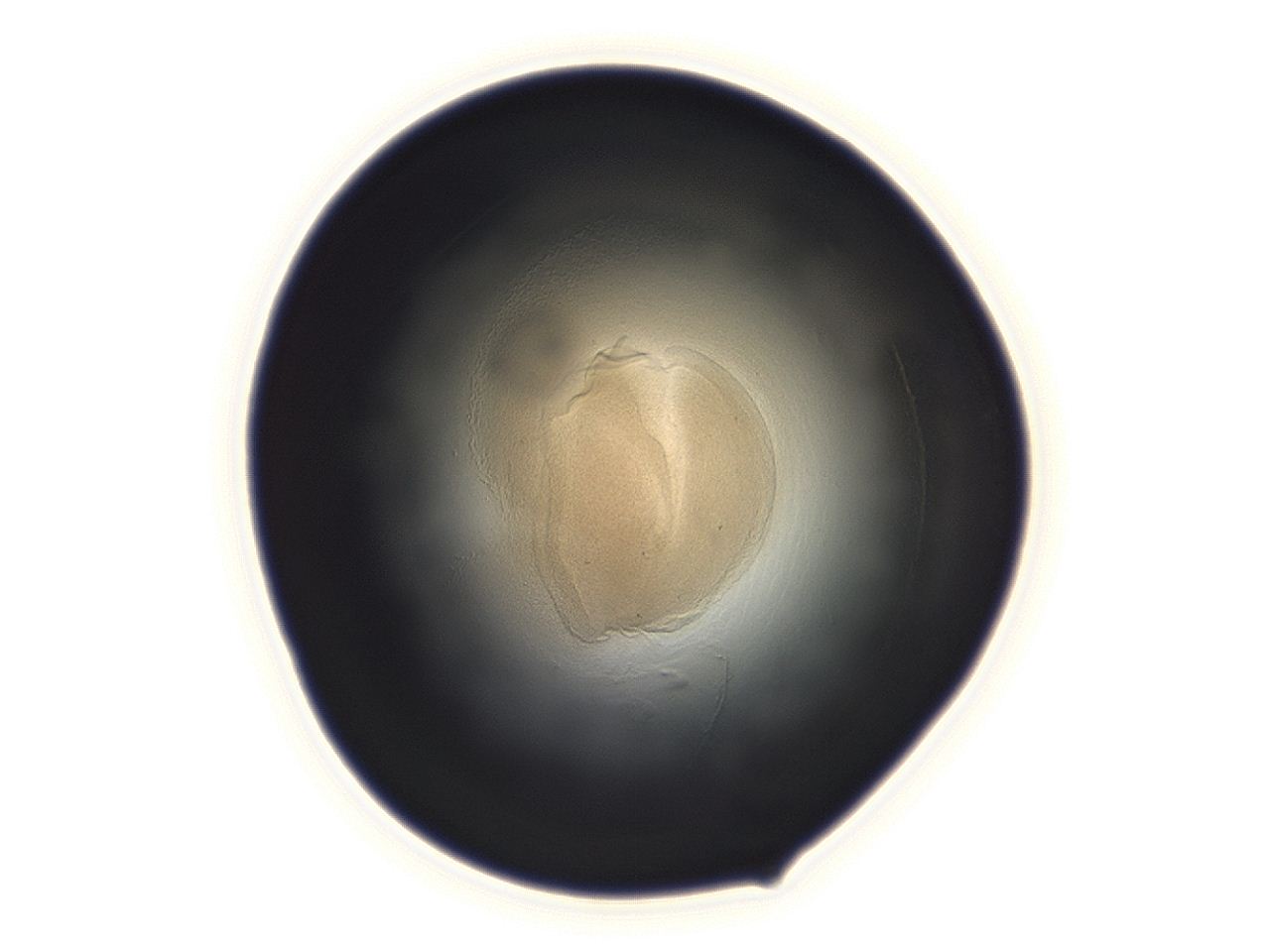04ah_F11_ImagerDefaults_3.jpg