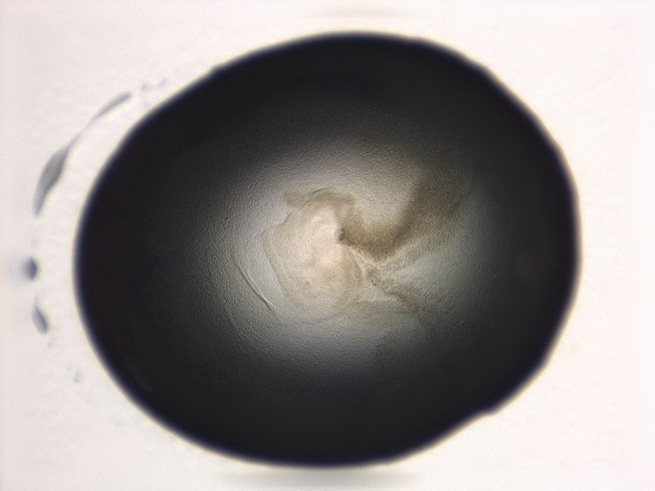 04ah_F12_ImagerDefaults_3.jpg