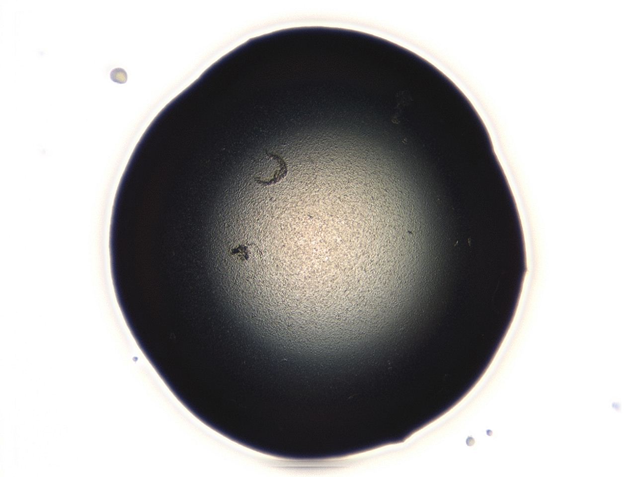 04ah_G4_ImagerDefaults_0.jpg