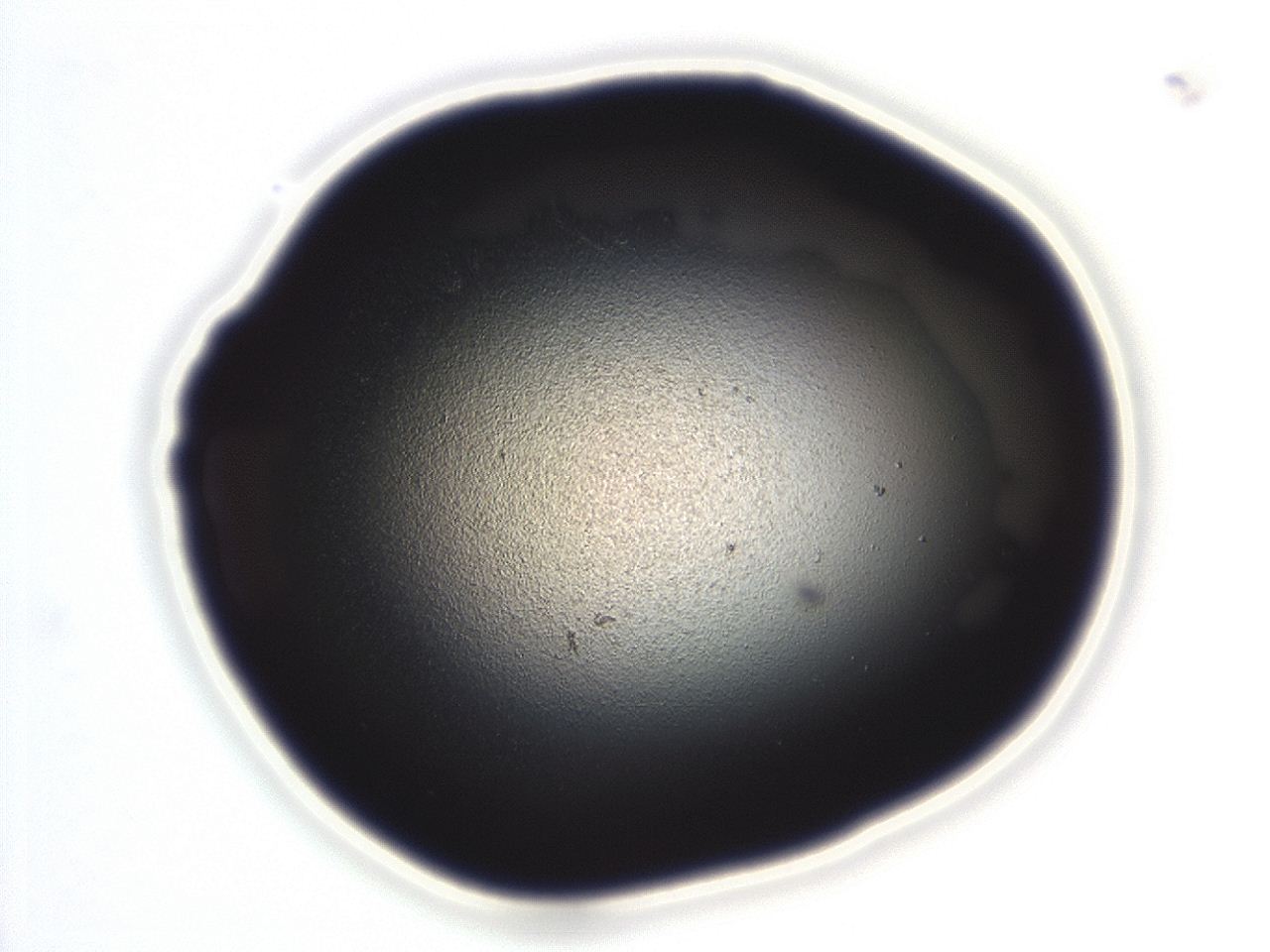 04ah_G12_ImagerDefaults_0.jpg