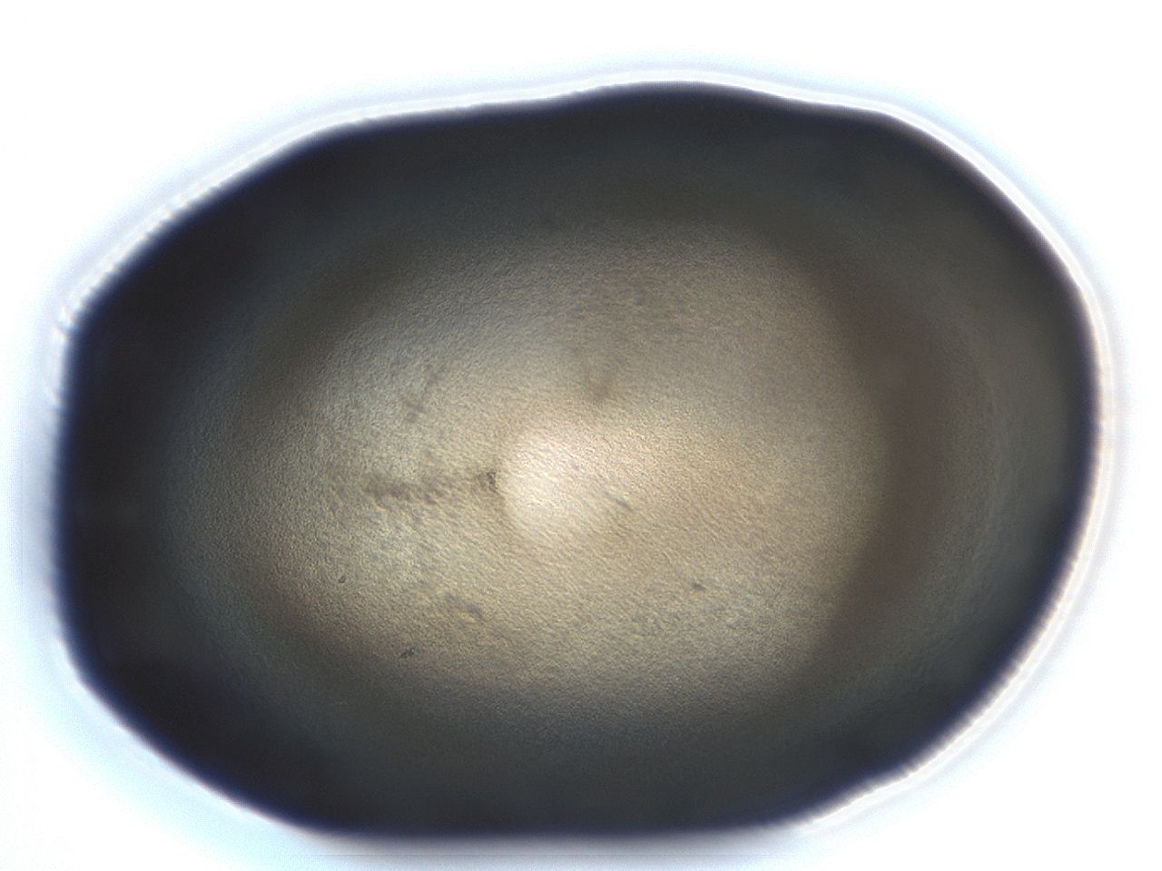 04ah_H1_ImagerDefaults_3.jpg