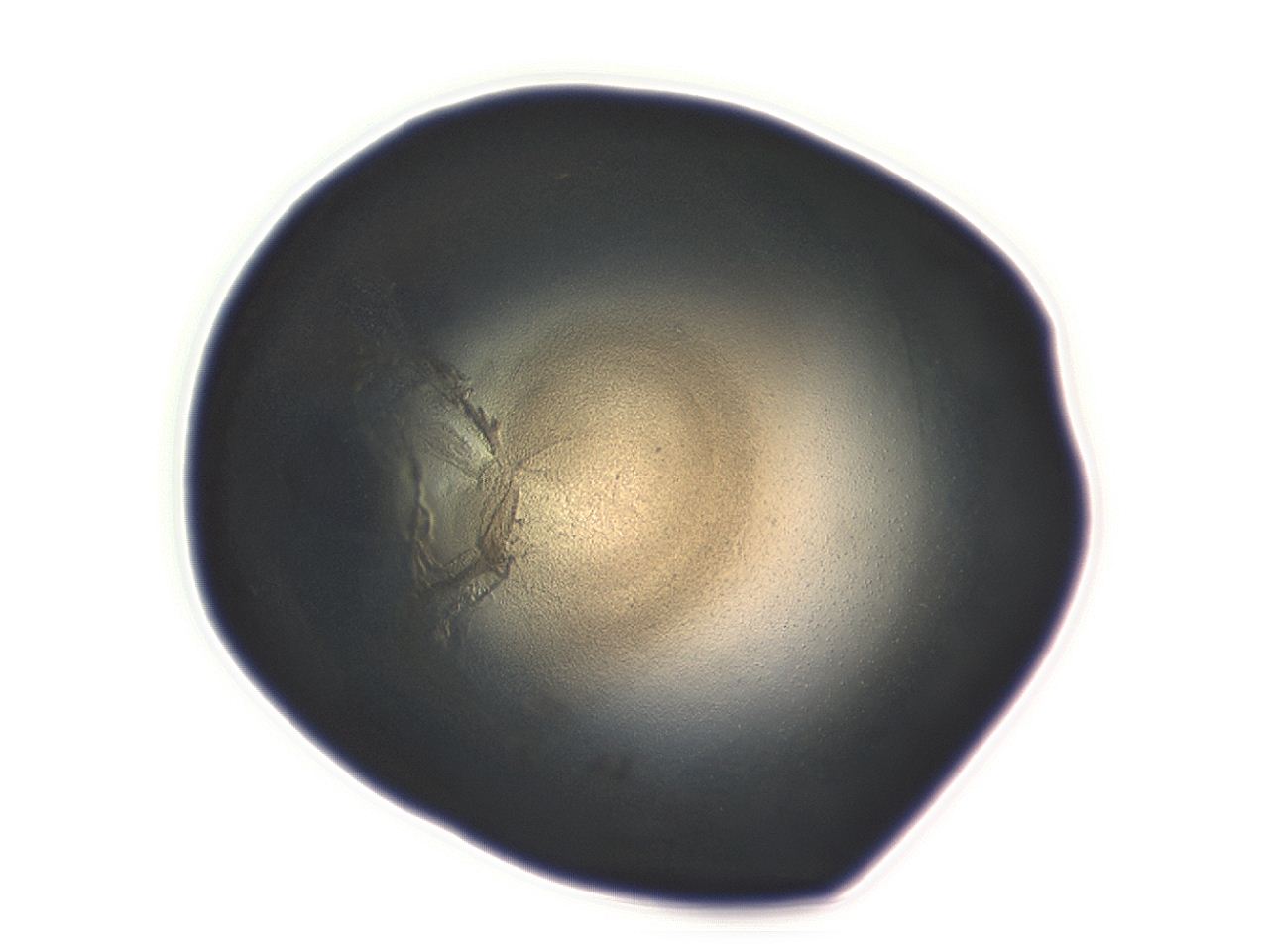 04ah_H7_ImagerDefaults_3.jpg