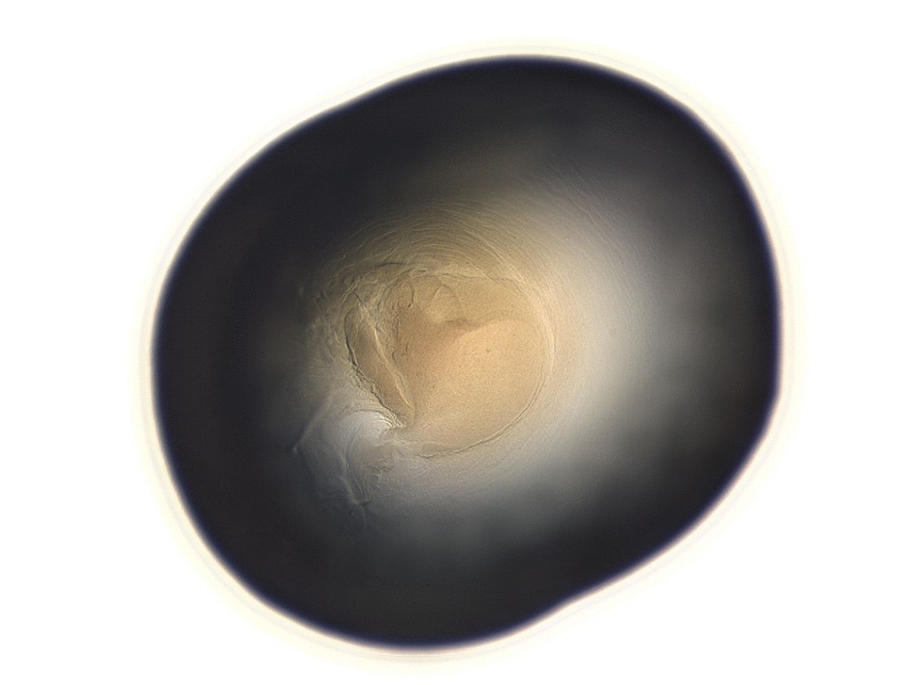 04ah_H10_ImagerDefaults_3.jpg