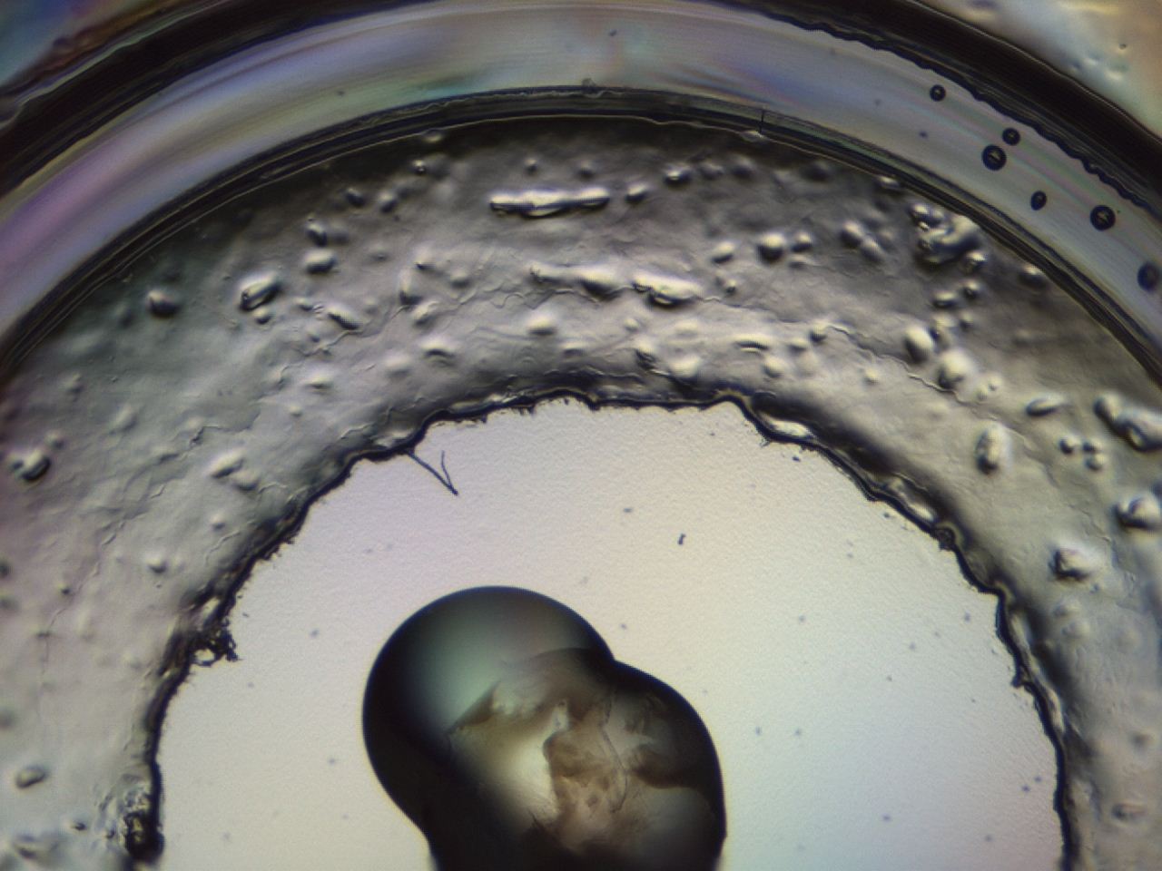 04ah_H11_ImagerDefaults_3.jpg
