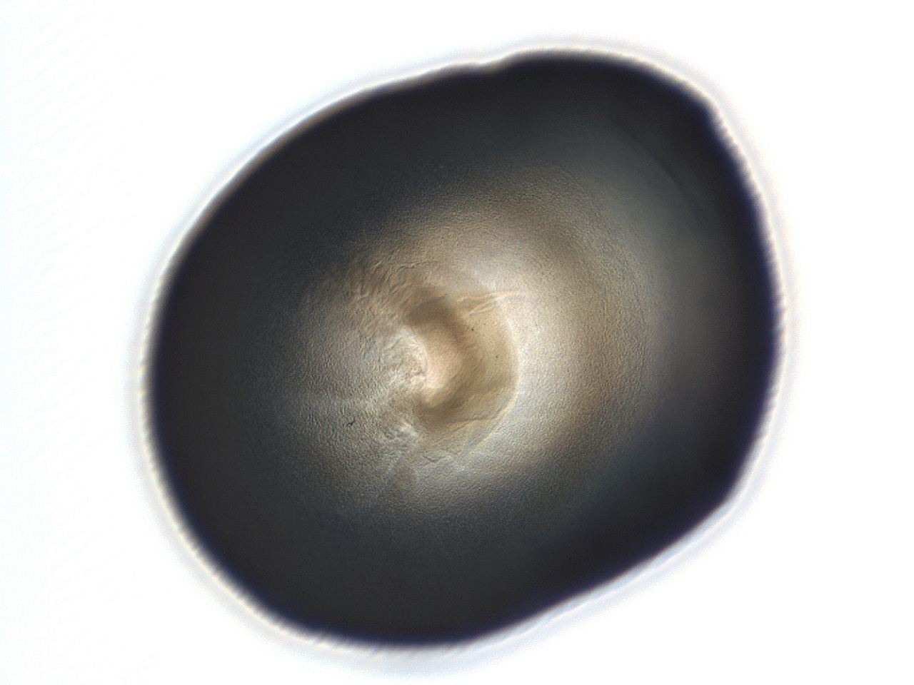 04ah_H12_ImagerDefaults_3.jpg