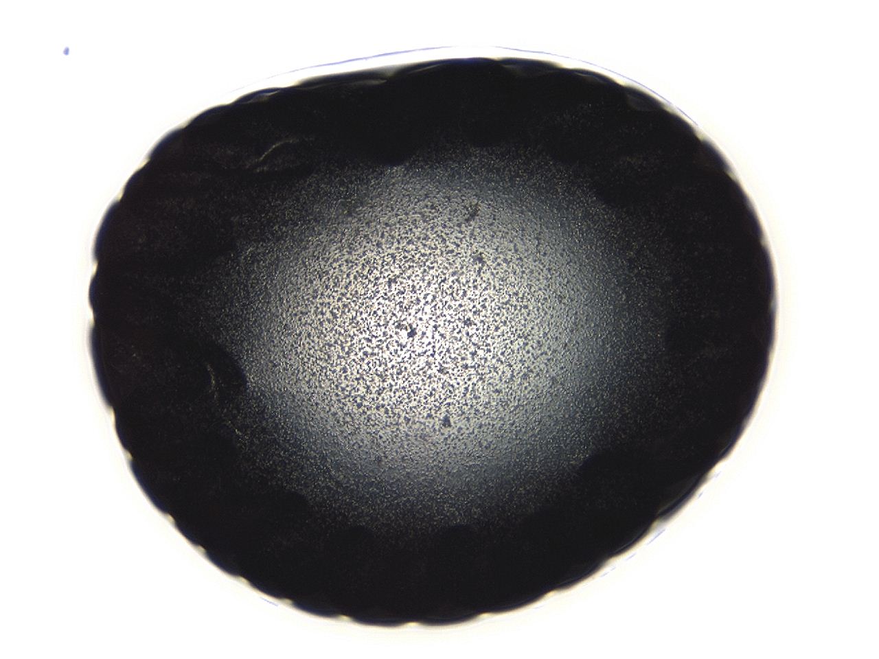 04ai_C3_ImagerDefaults_3.jpg