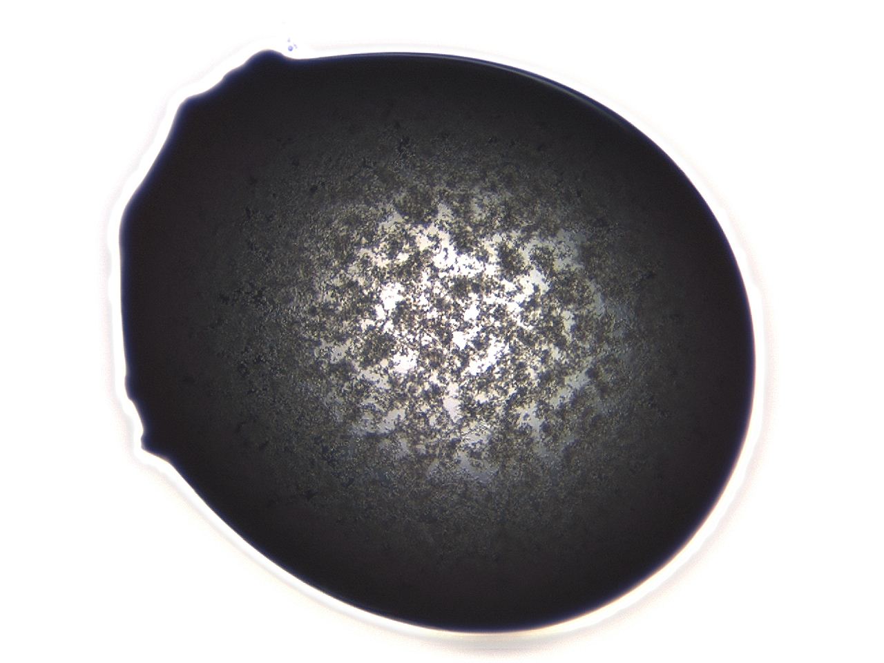 04ai_B10_ImagerDefaults_3.jpg