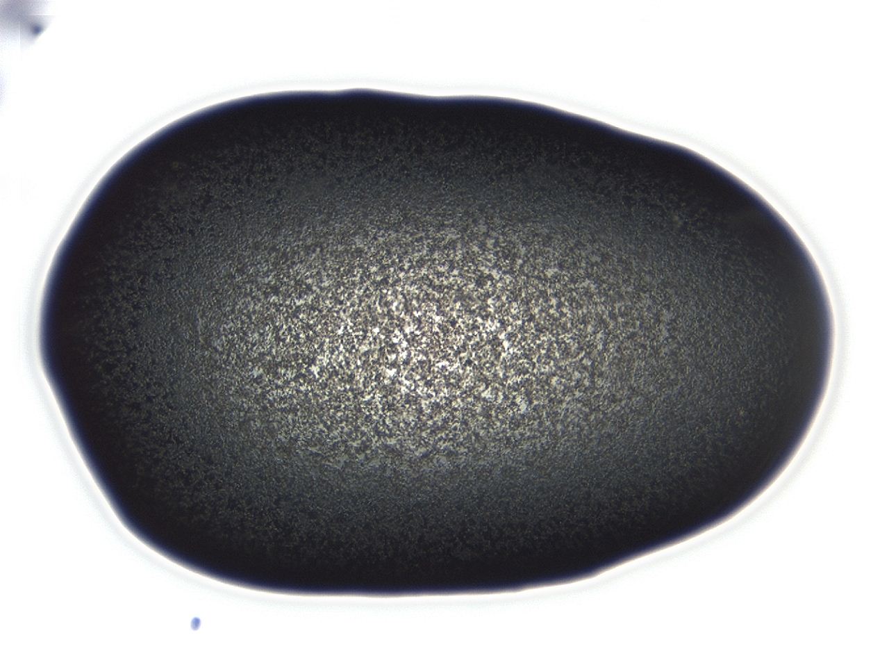 04ai_C1_ImagerDefaults_3.jpg