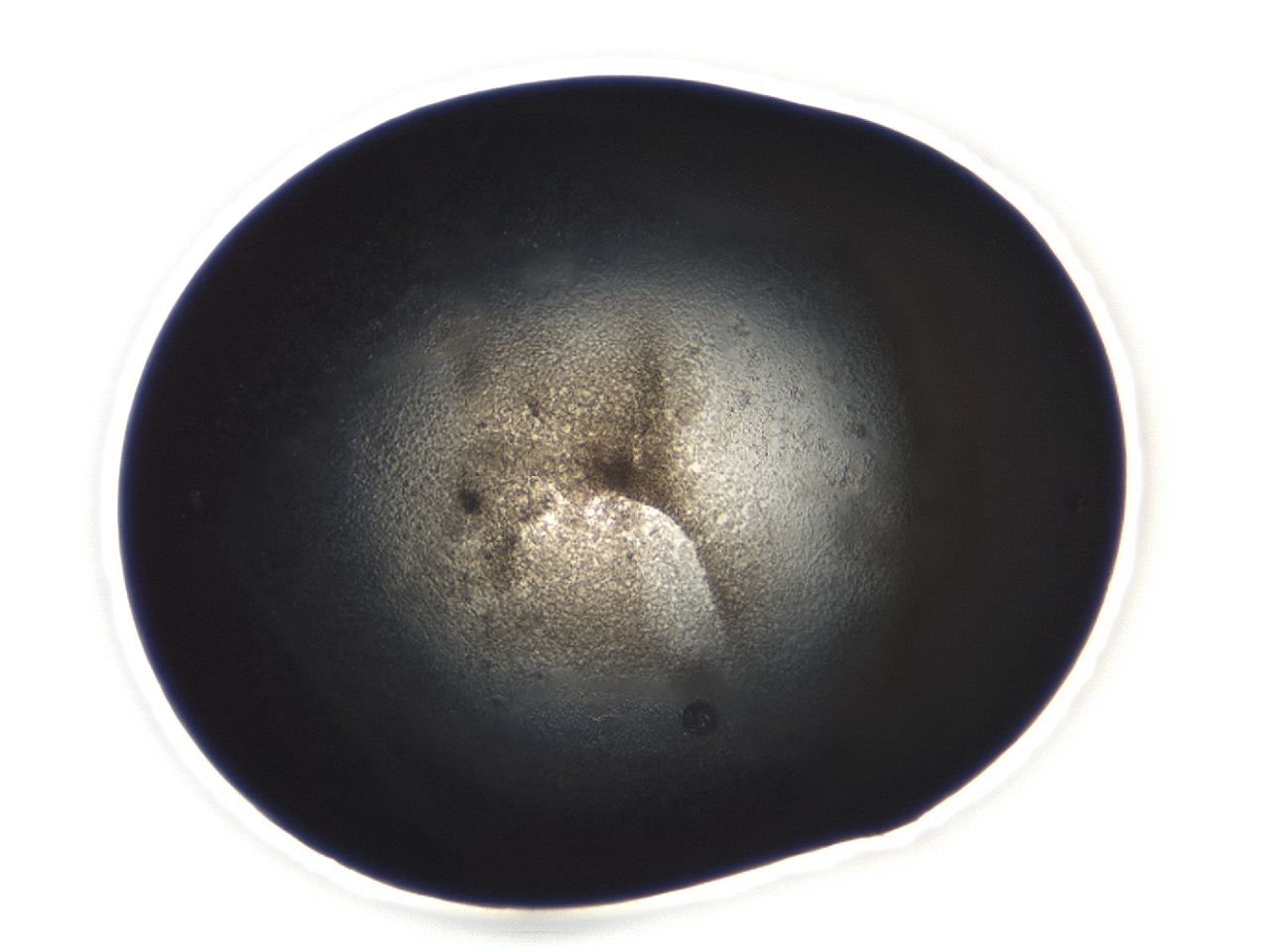 04ai_C7_ImagerDefaults_3.jpg