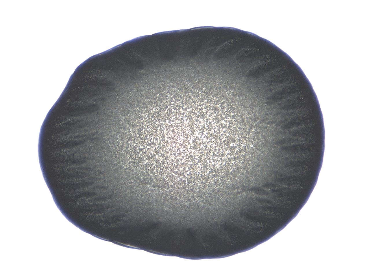 04ai_C8_ImagerDefaults_3.jpg
