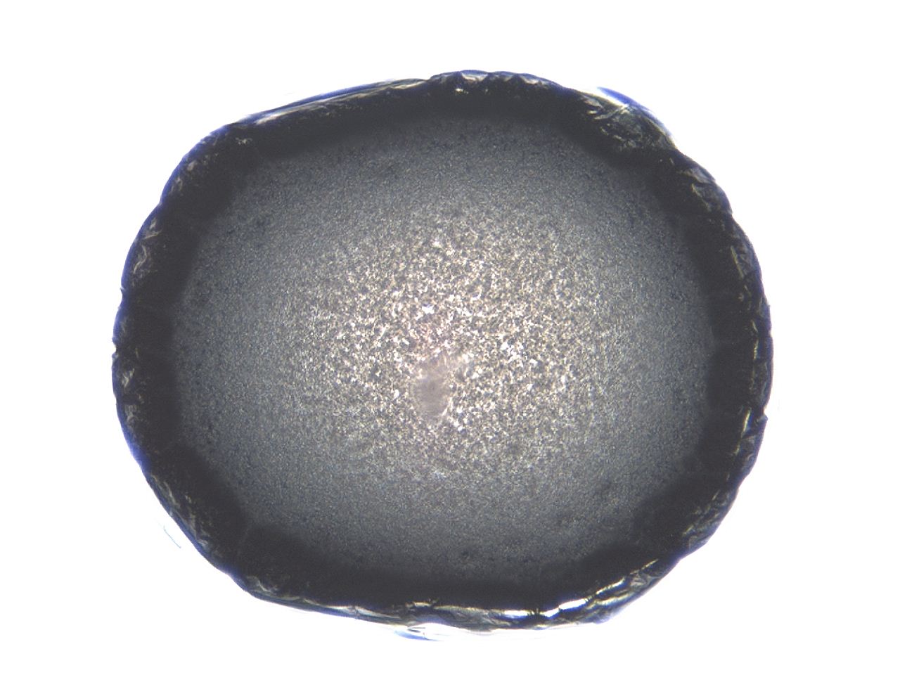 04ai_C10_ImagerDefaults_3.jpg