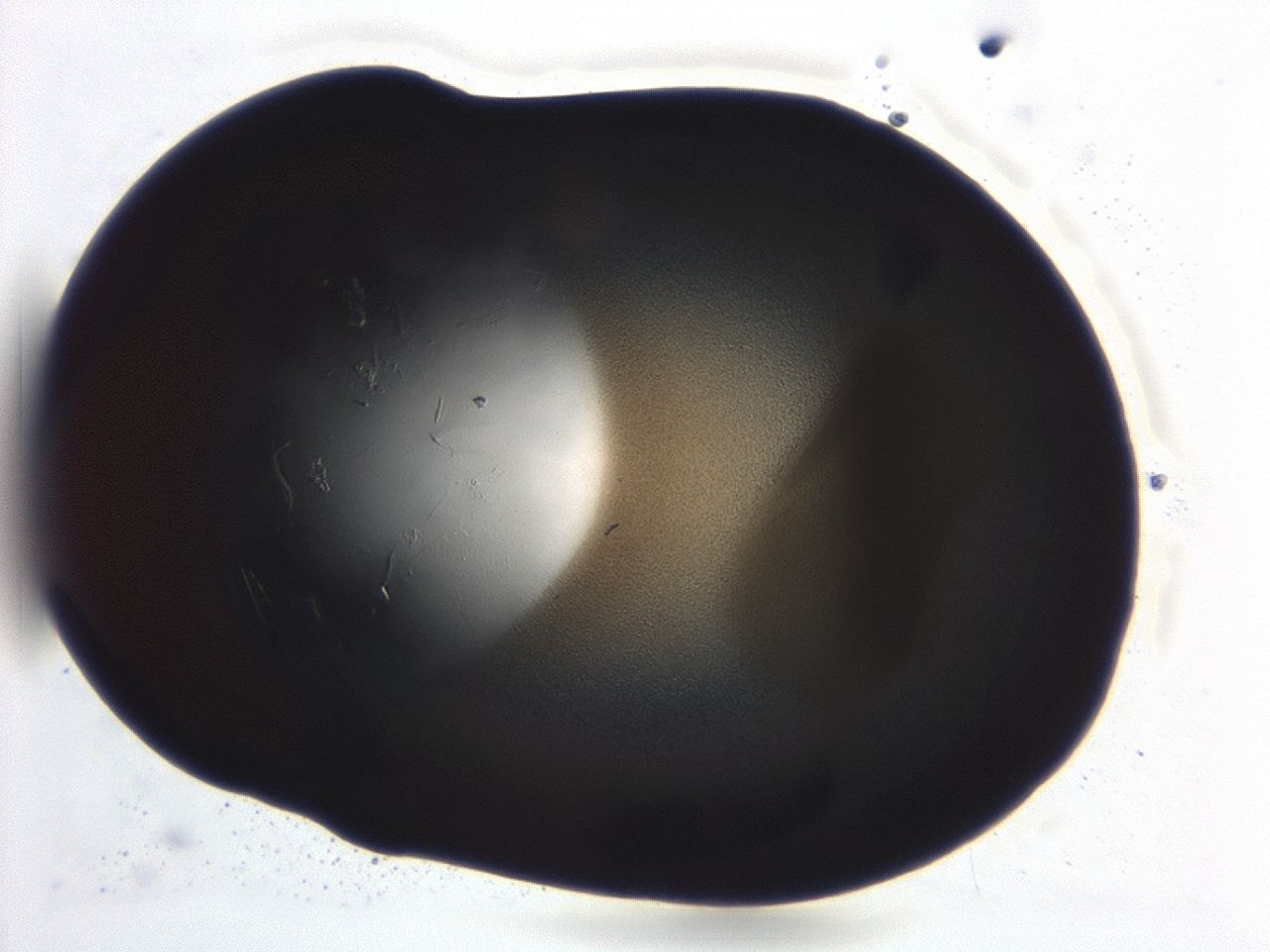 04ai_C11_ImagerDefaults_3.jpg