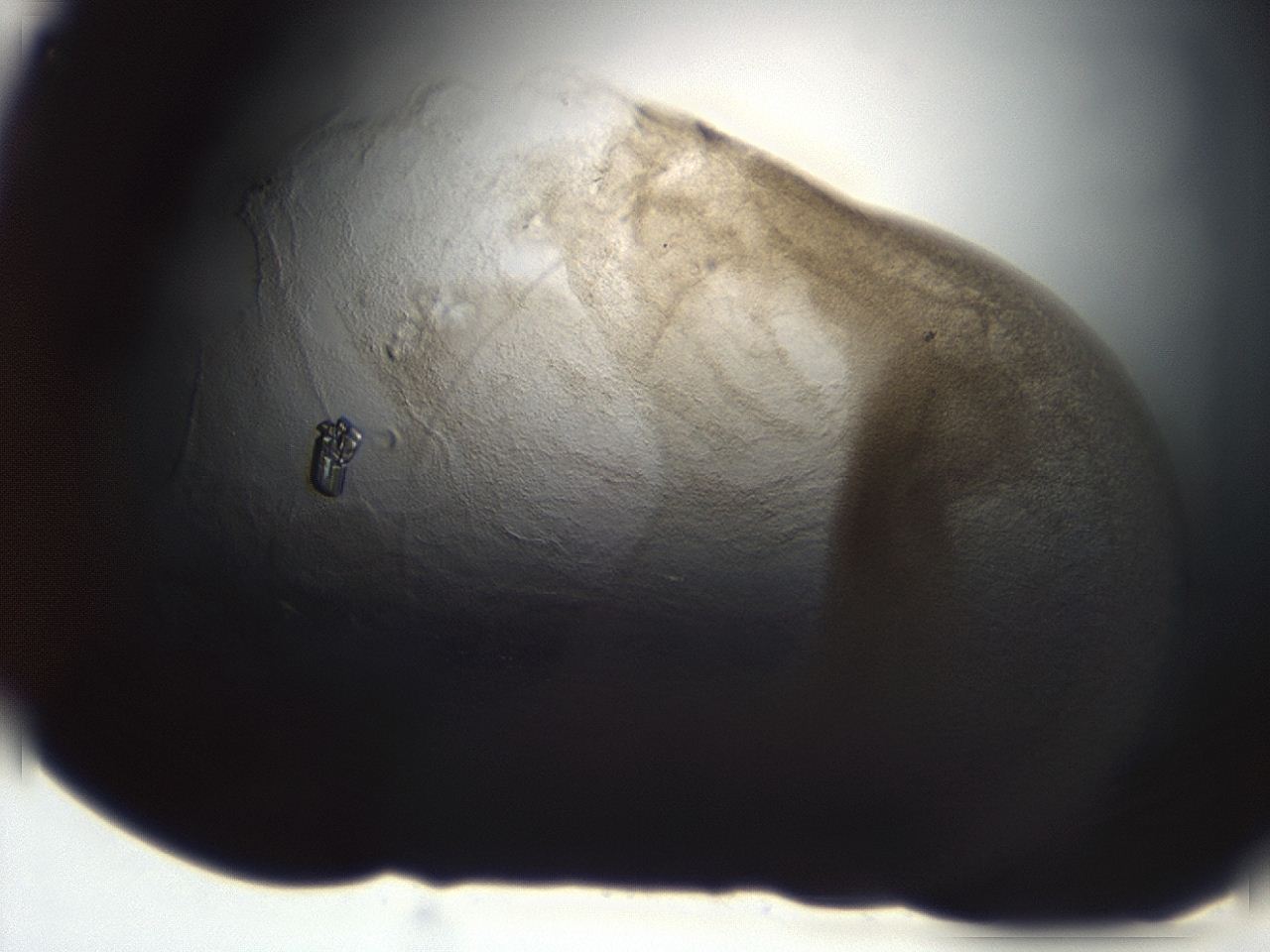 04ai_C12_ImagerDefaults_3.jpg