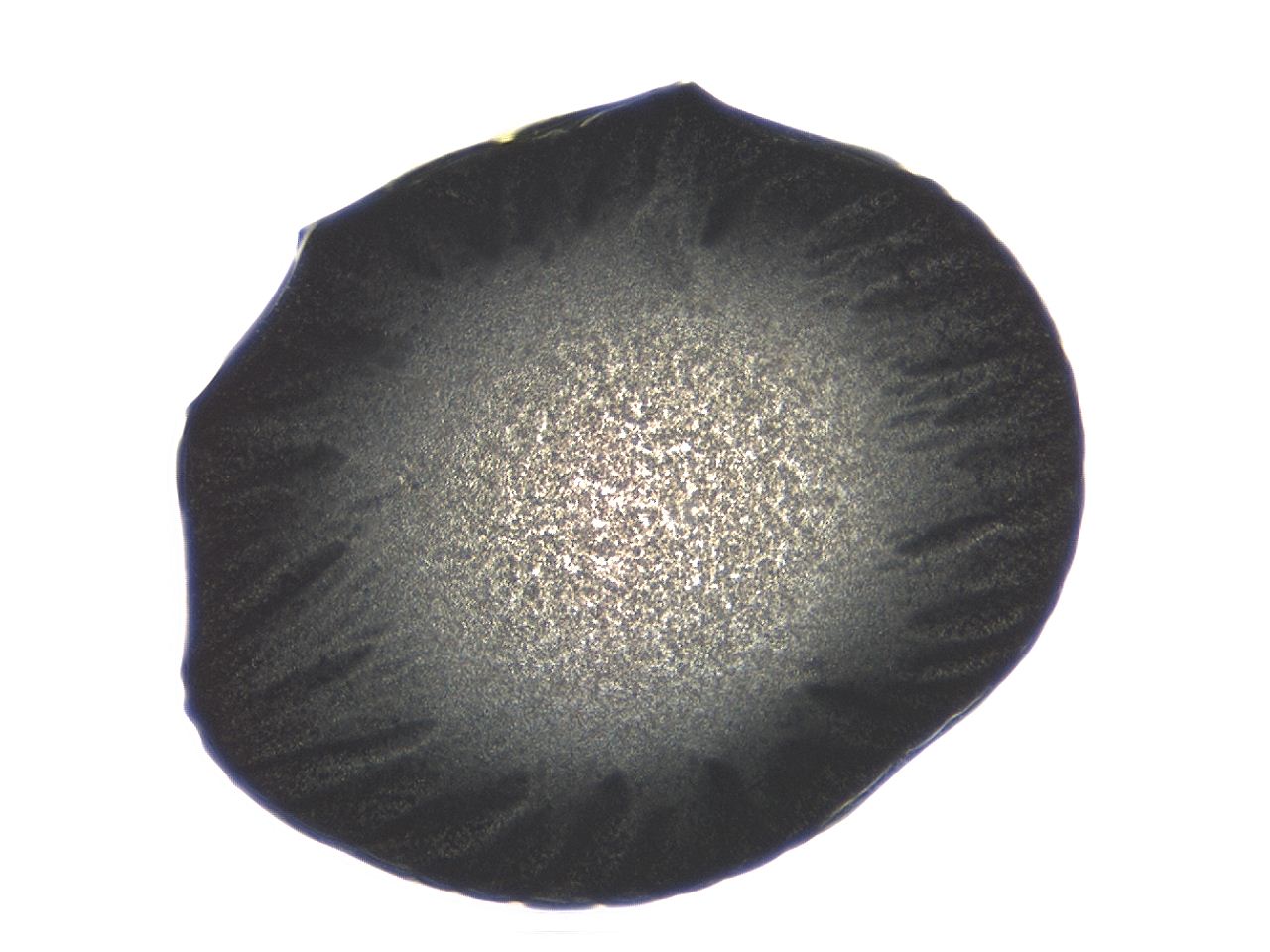 04ai_F7_ImagerDefaults_3.jpg