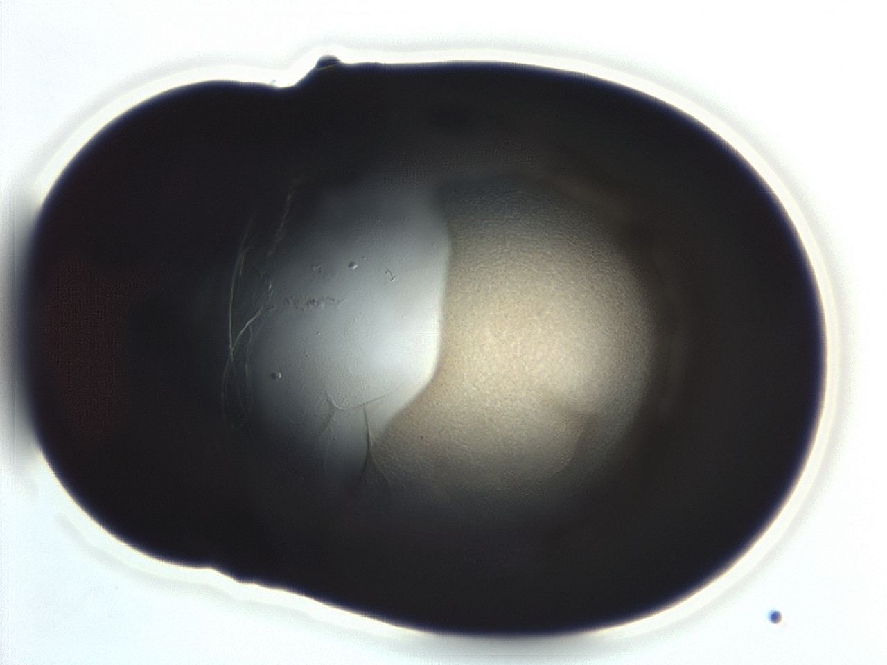 04ai_F10_ImagerDefaults_3.jpg