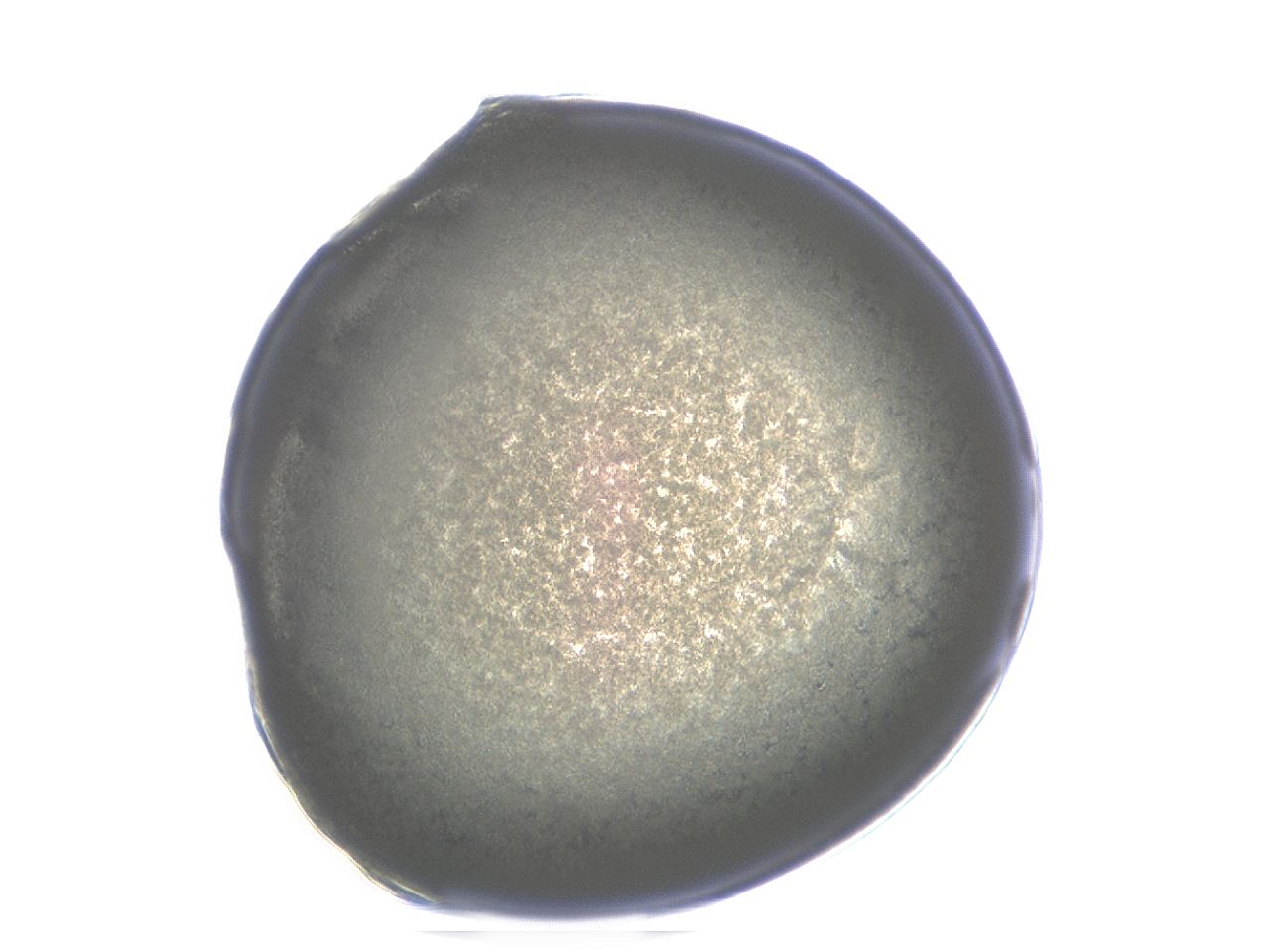 04ai_G10_ImagerDefaults_3.jpg