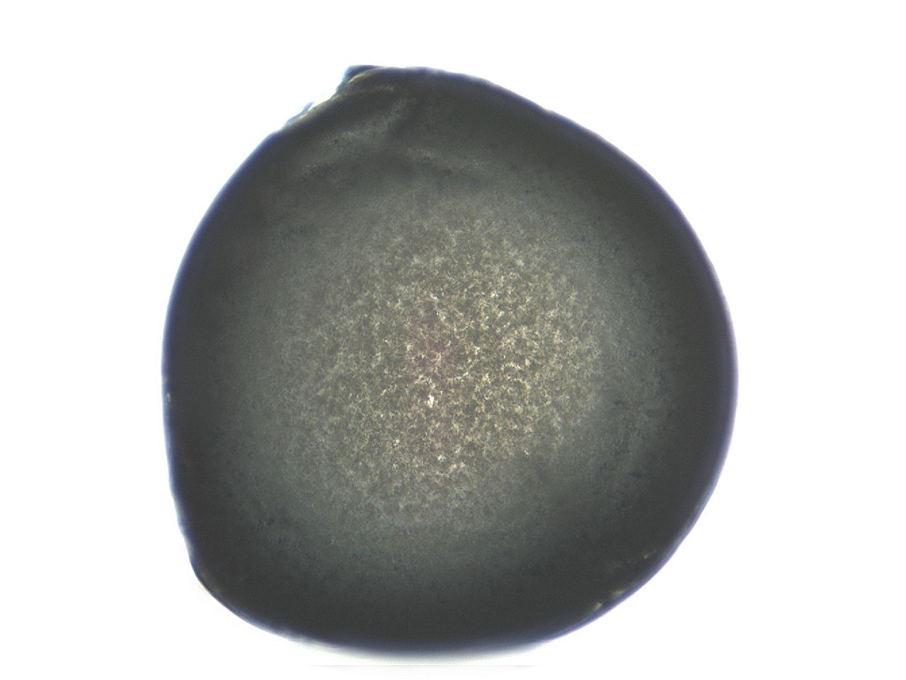 04ai_G11_ImagerDefaults_3.jpg
