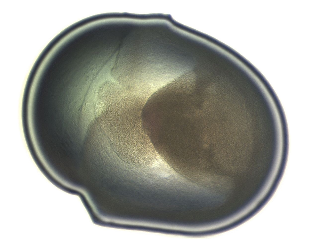 04ai_H11_ImagerDefaults_3.jpg