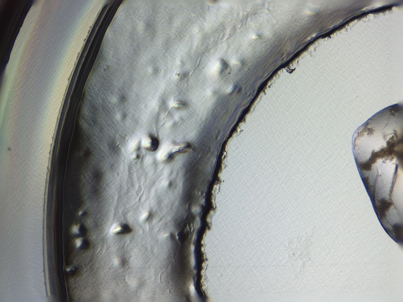 04ak_B5_ImagerDefaults_3.jpg