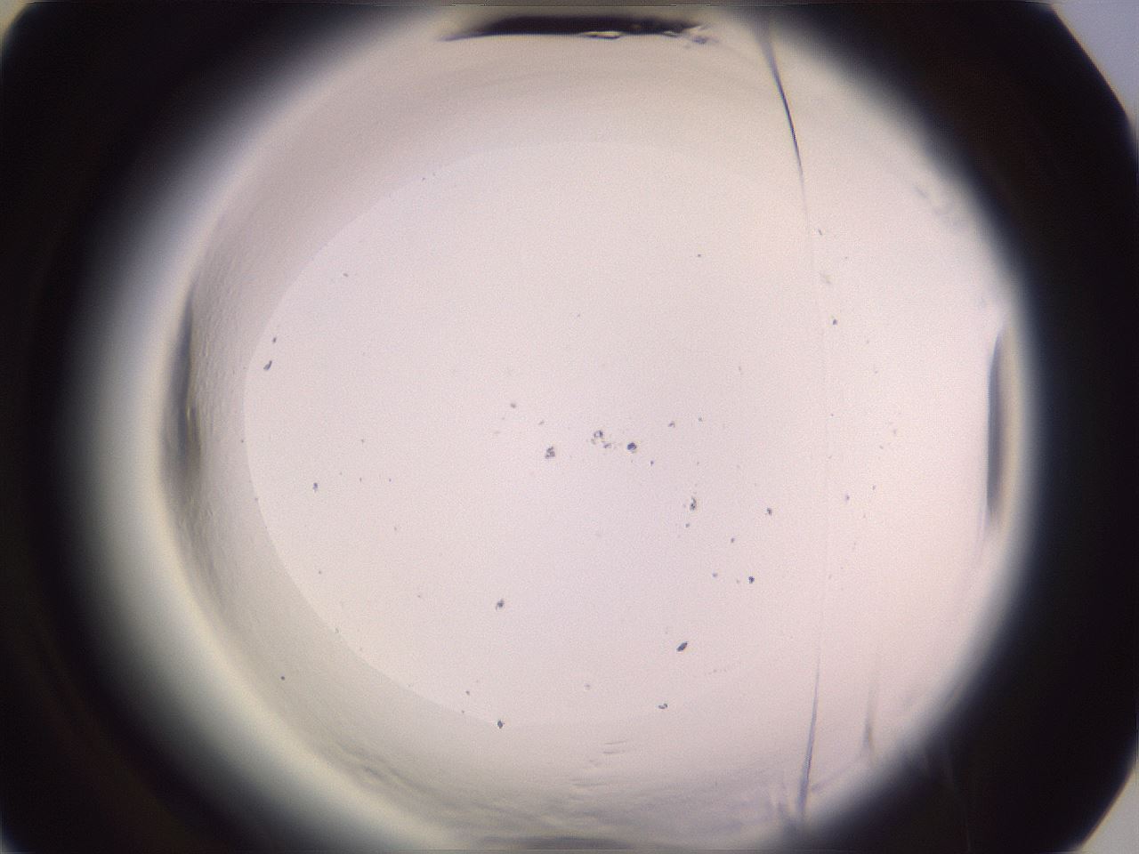 folderID602_plateID2602_batchID15100_wellNum52_profileID1_d3_r200612_ef.jpg