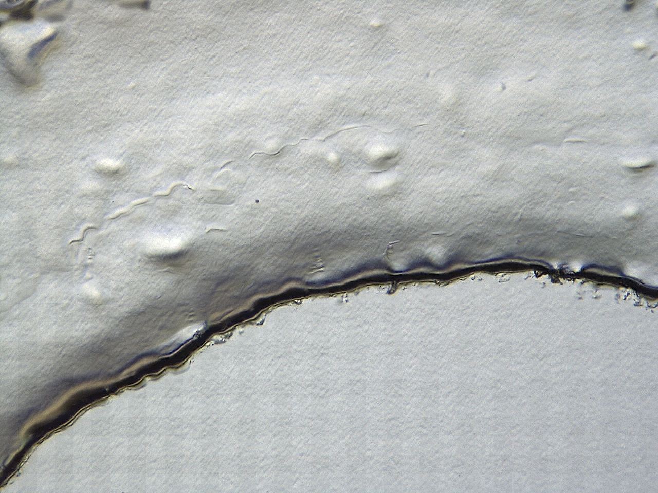 04ak_C6_ImagerDefaults_3.jpg