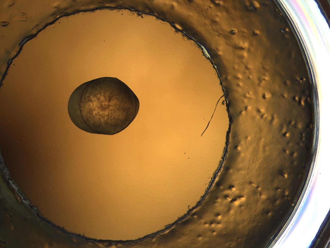 04ak_A11_ImagerDefaults_3.jpg