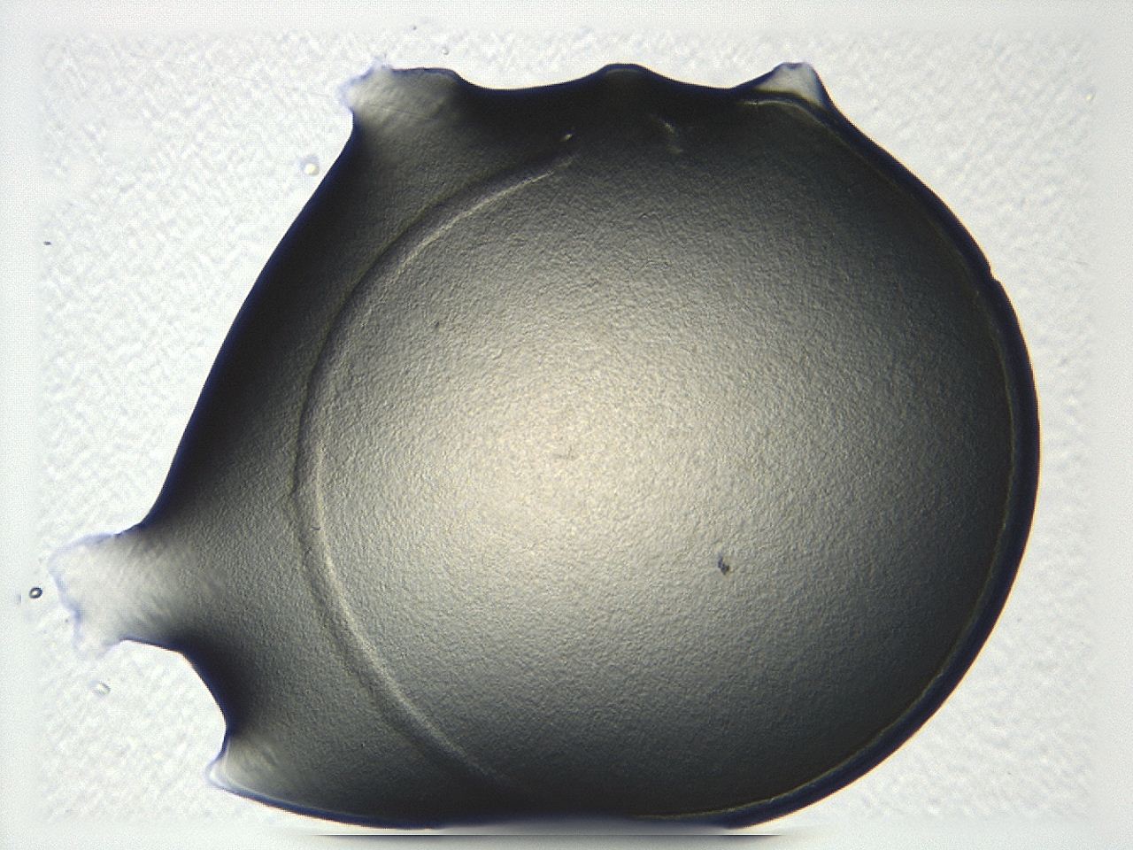 04ak_C8_ImagerDefaults_3.jpg