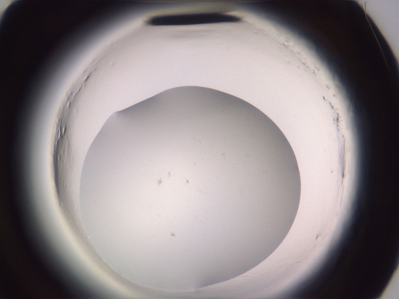 folderID607_plateID2607_batchID12759_wellNum81_profileID1_d3_r204732_ef.jpg