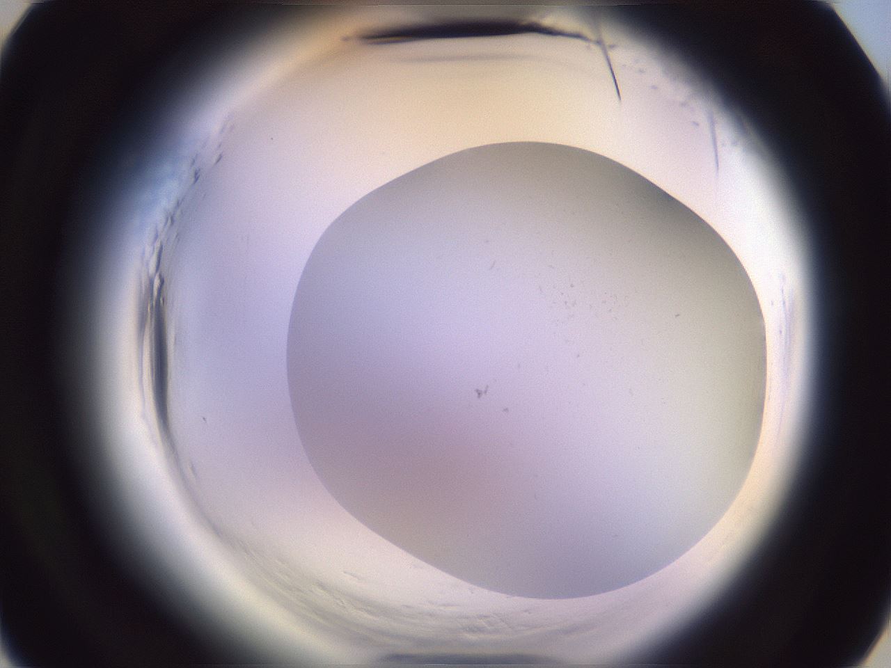 folderID607_plateID2607_batchID12898_wellNum4_profileID1_d3_r204501_ef.jpg