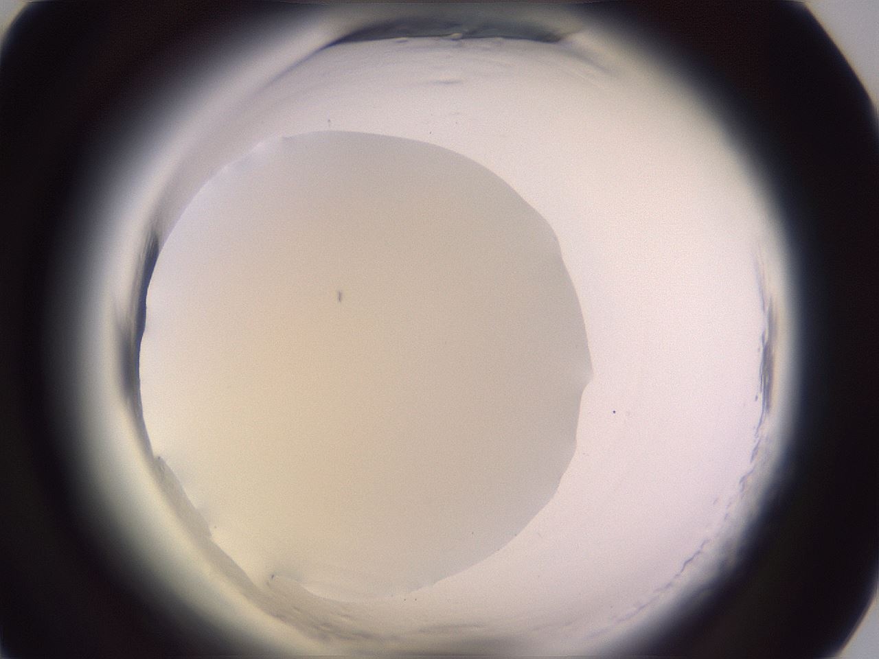 folderID607_plateID2607_batchID13451_wellNum75_profileID1_d1_r204712_ef.jpg