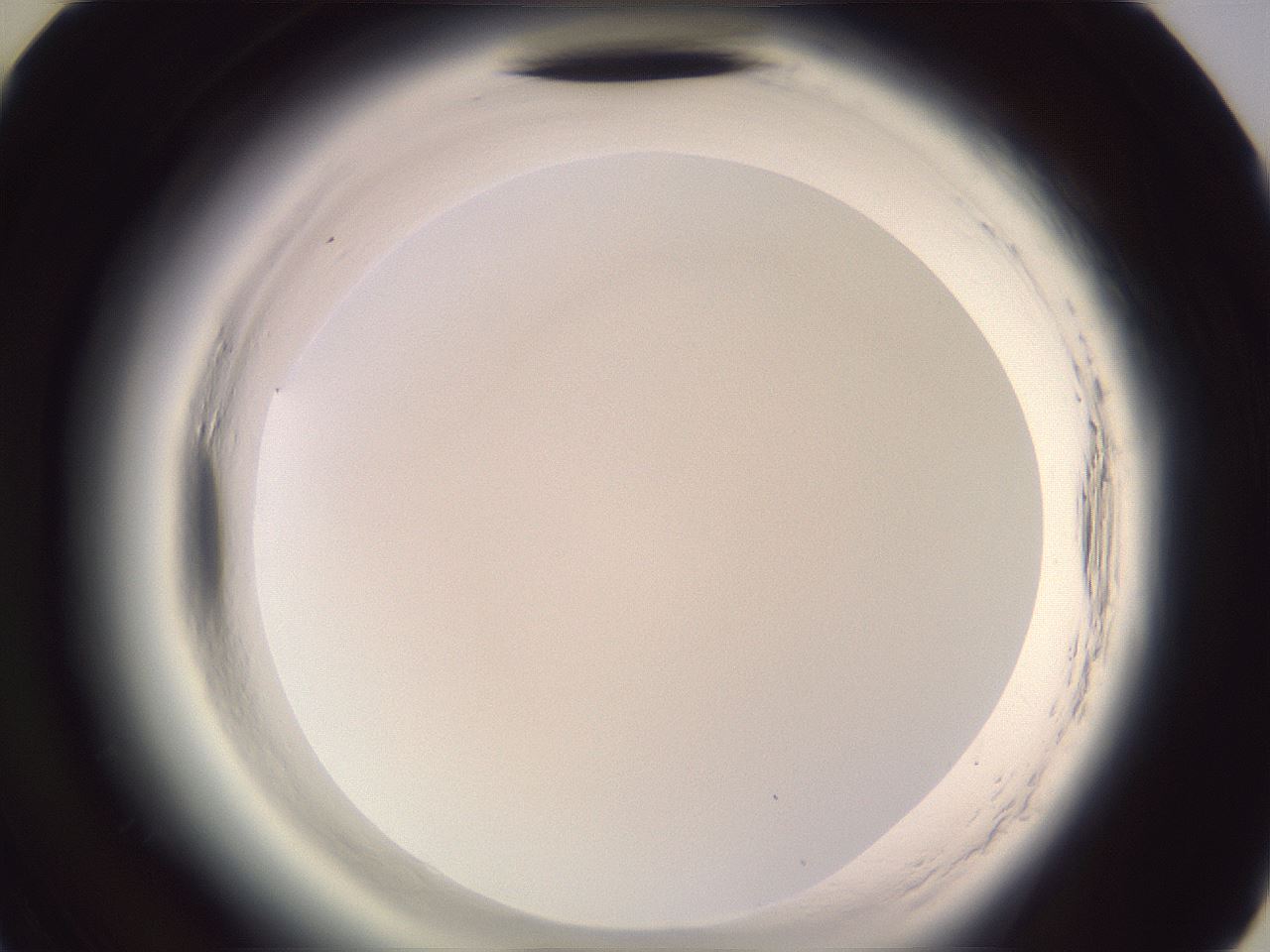 folderID608_plateID2608_batchID12994_wellNum46_profileID1_d3_r204915_ef.jpg