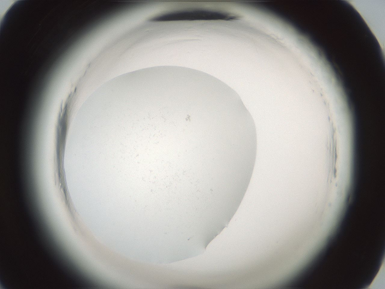 folderID610_plateID2610_batchID12844_wellNum45_profileID1_d1_r206638_ef.jpg