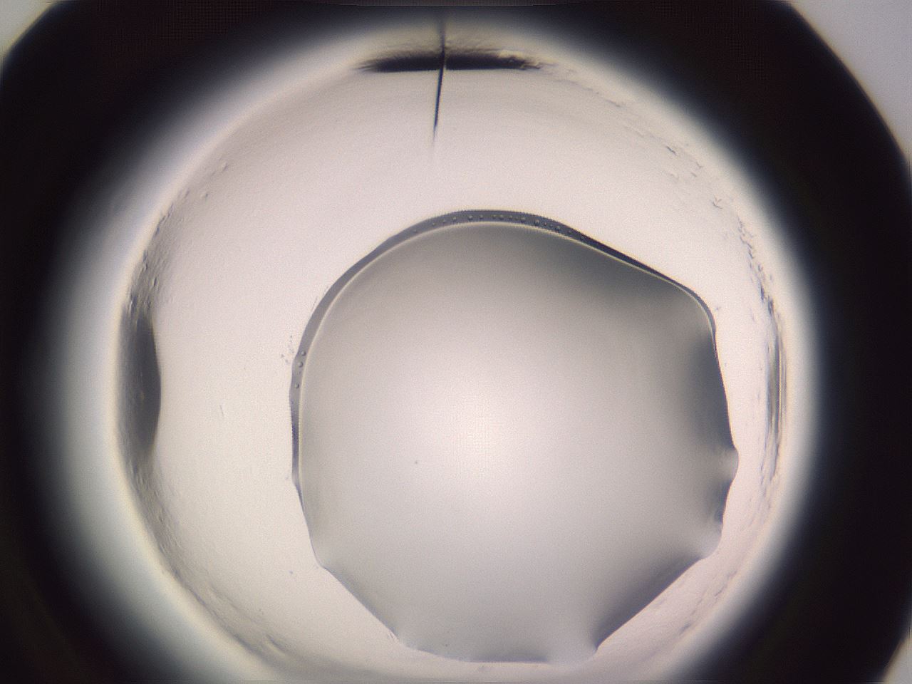 folderID612_plateID2612_batchID14341_wellNum72_profileID1_d3_r205857_ef.jpg