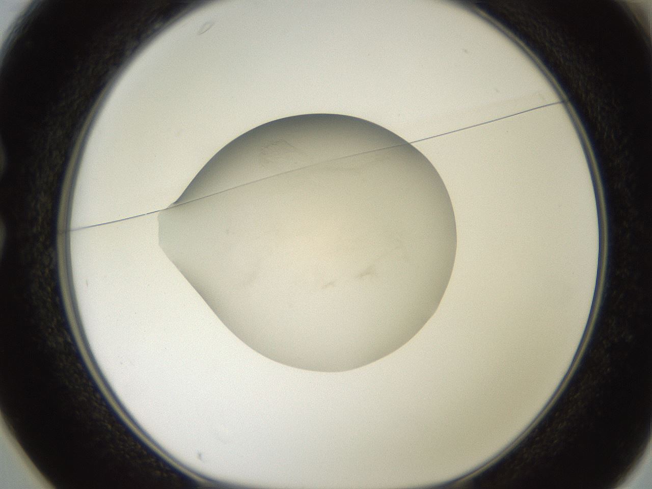 folderID618_plateID1618_batchID6671_wellNum25_profileID1_d1_r107624_ef.jpg