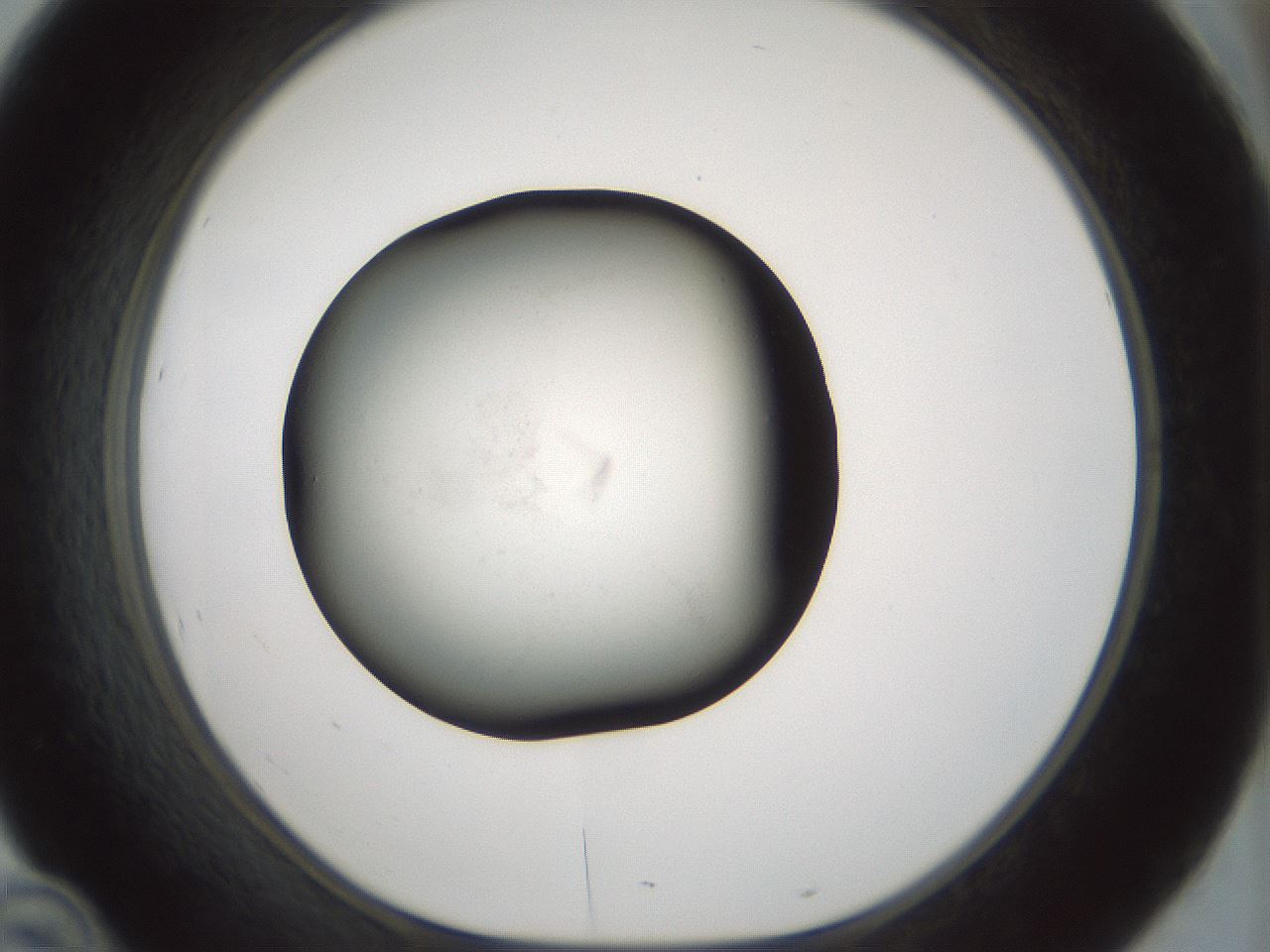 folderID61_plateID3061_batchID17810_wellNum46_profileID1_d1_r259254_ef.jpg