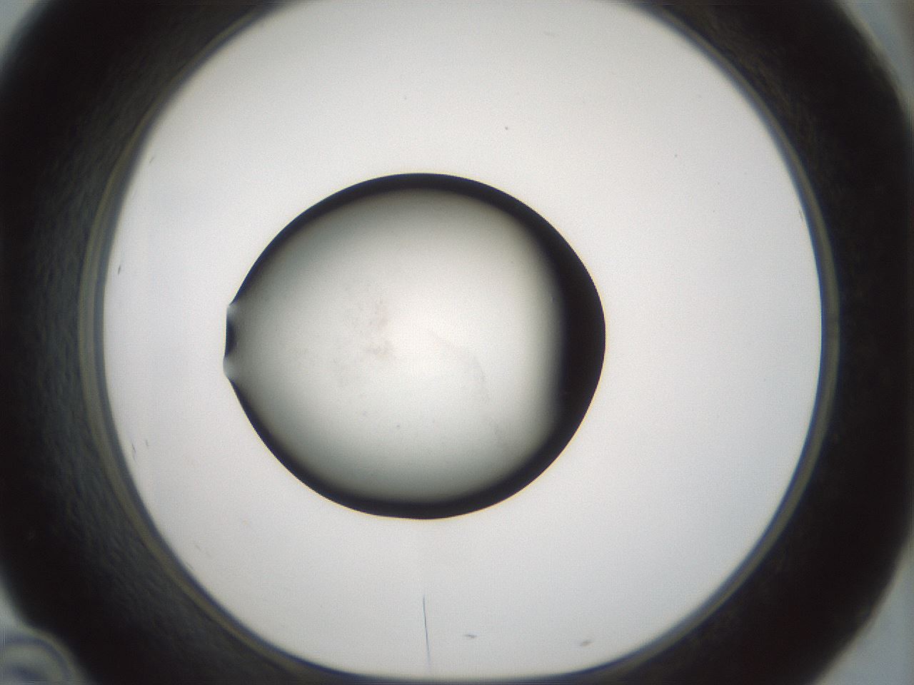 folderID61_plateID3061_batchID16763_wellNum46_profileID1_d1_r259254_ef.jpg