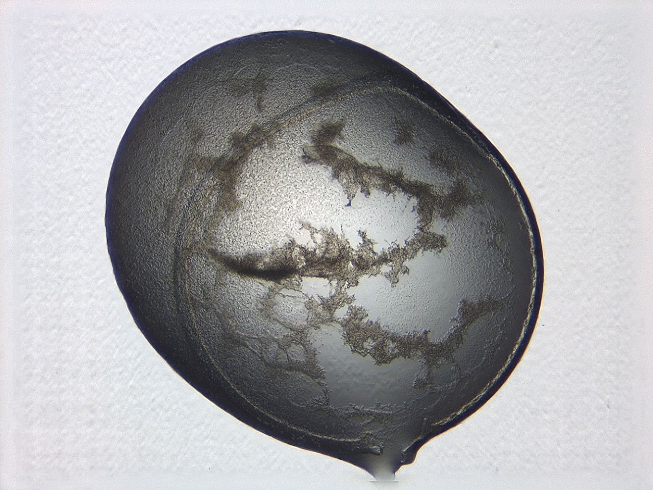 04al_B11_ImagerDefaults_3.jpg