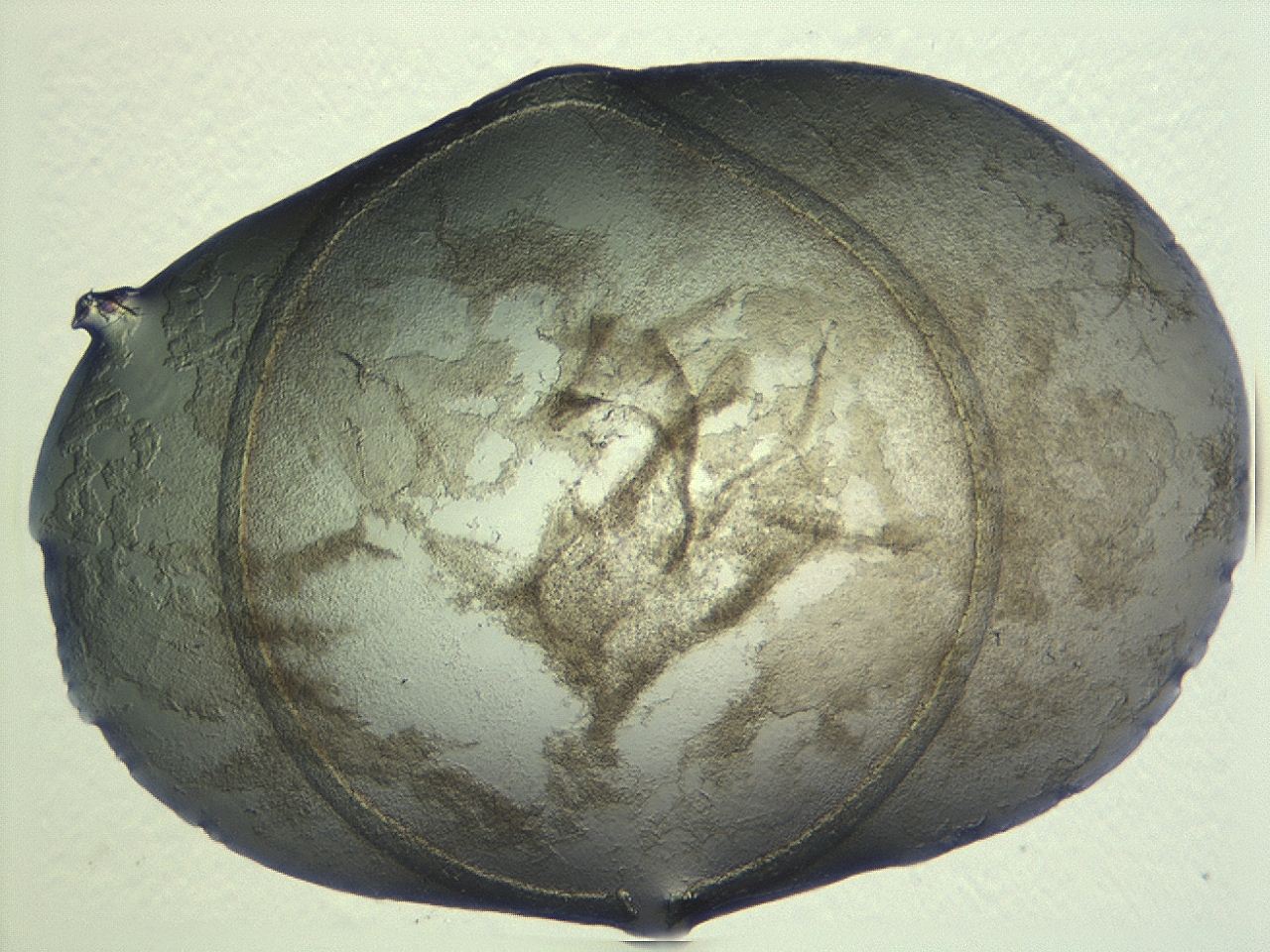 04al_H11_ImagerDefaults_3.jpg