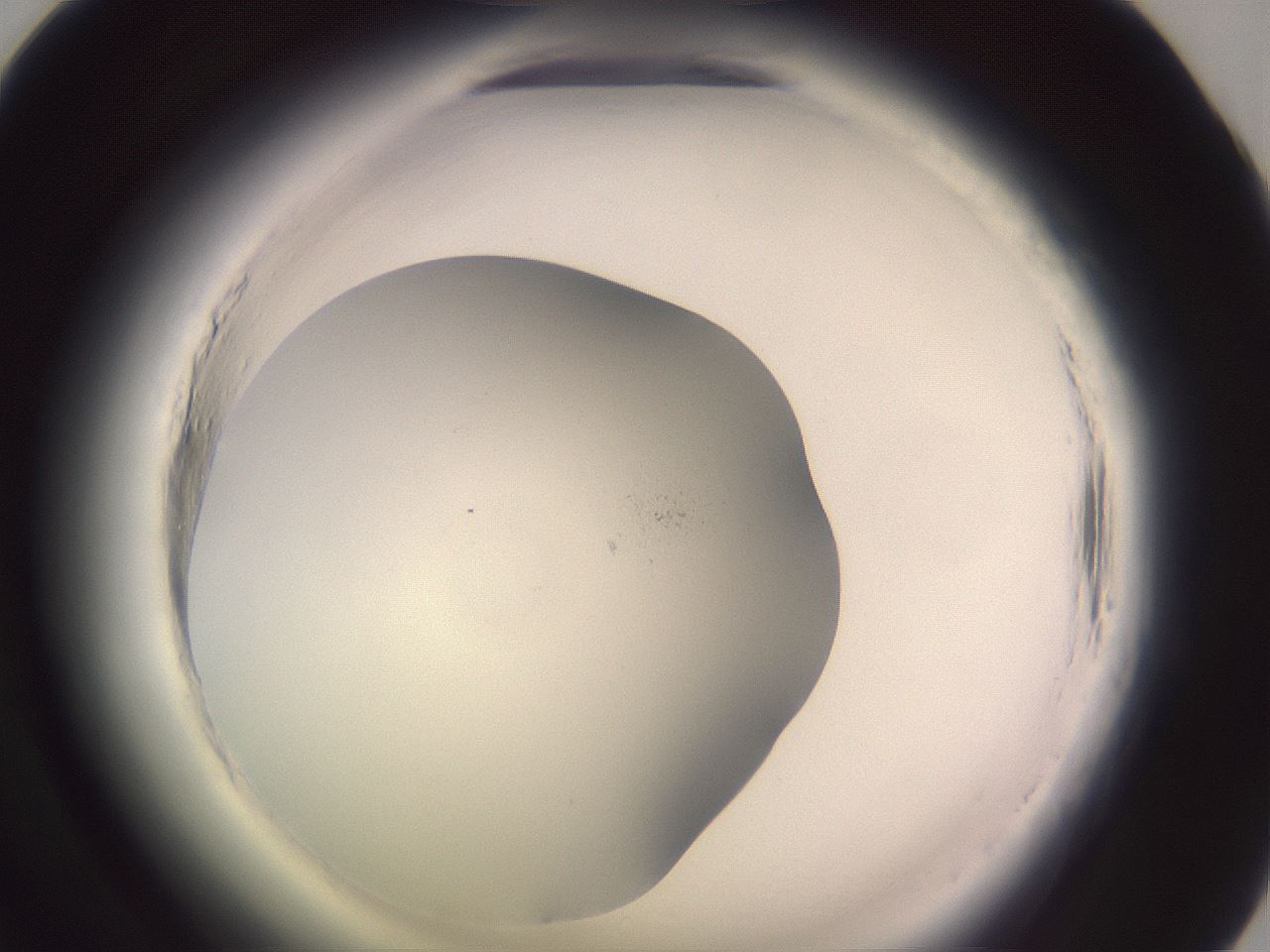 folderID640_plateID2640_batchID13249_wellNum57_profileID1_d1_r214647_ef.jpg