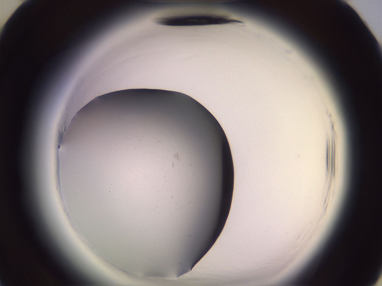 folderID640_plateID2640_batchID13294_wellNum34_profileID1_d3_r214580_ef.jpg