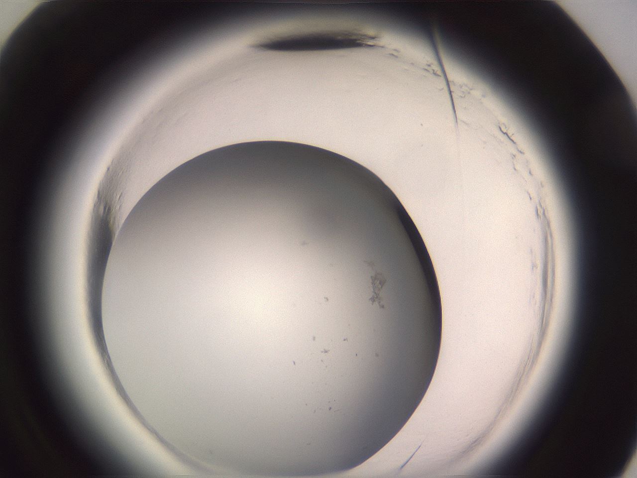 folderID640_plateID2640_batchID13976_wellNum60_profileID1_d3_r214658_ef.jpg