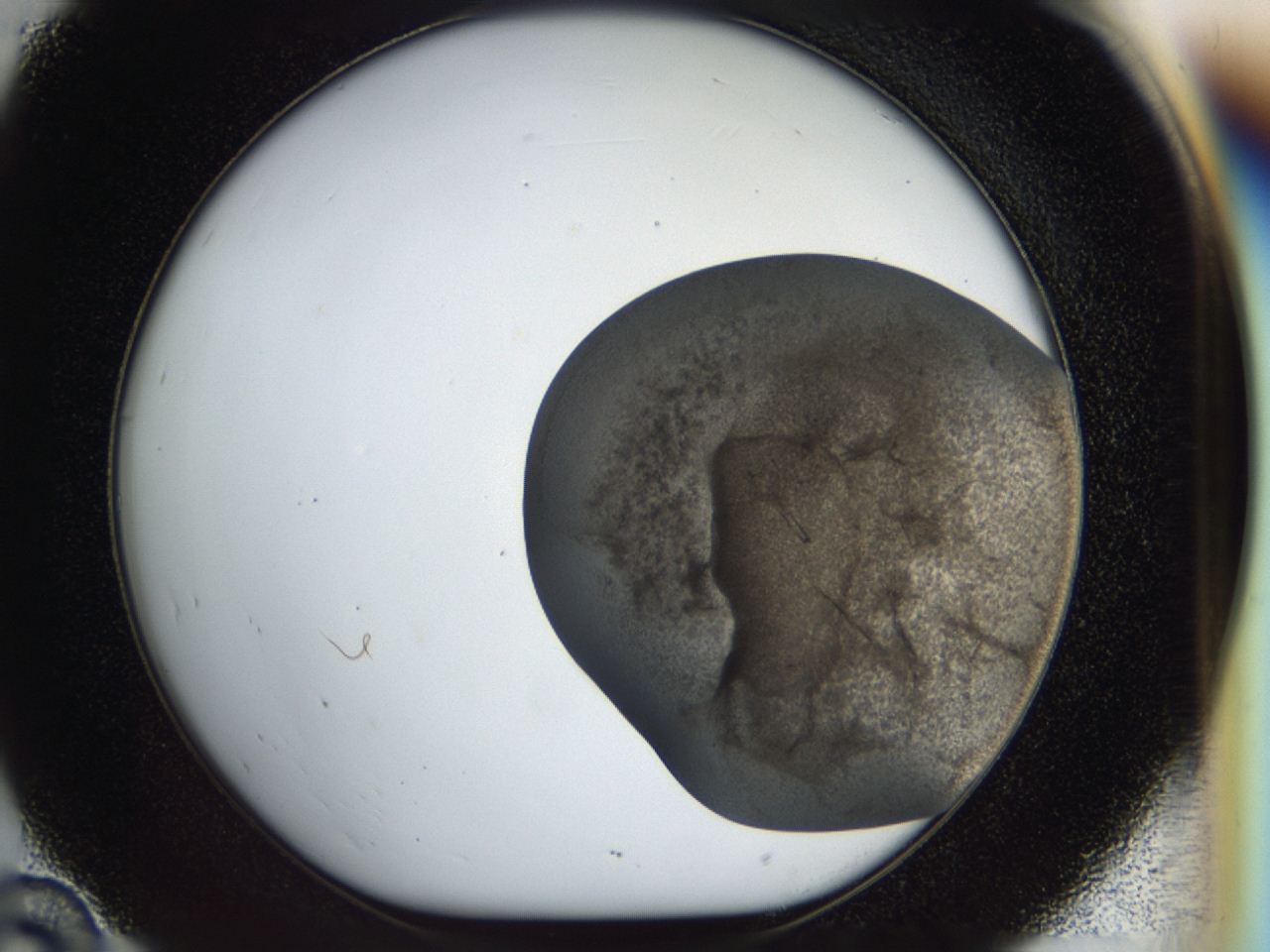 04az_D10_ImagerDefaults_8.jpg