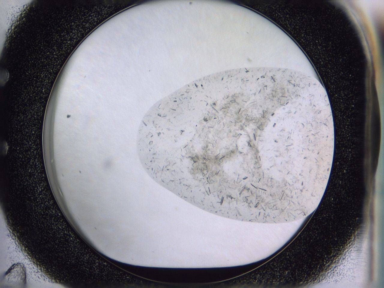 04b0_E11_ImagerDefaults_9.jpg