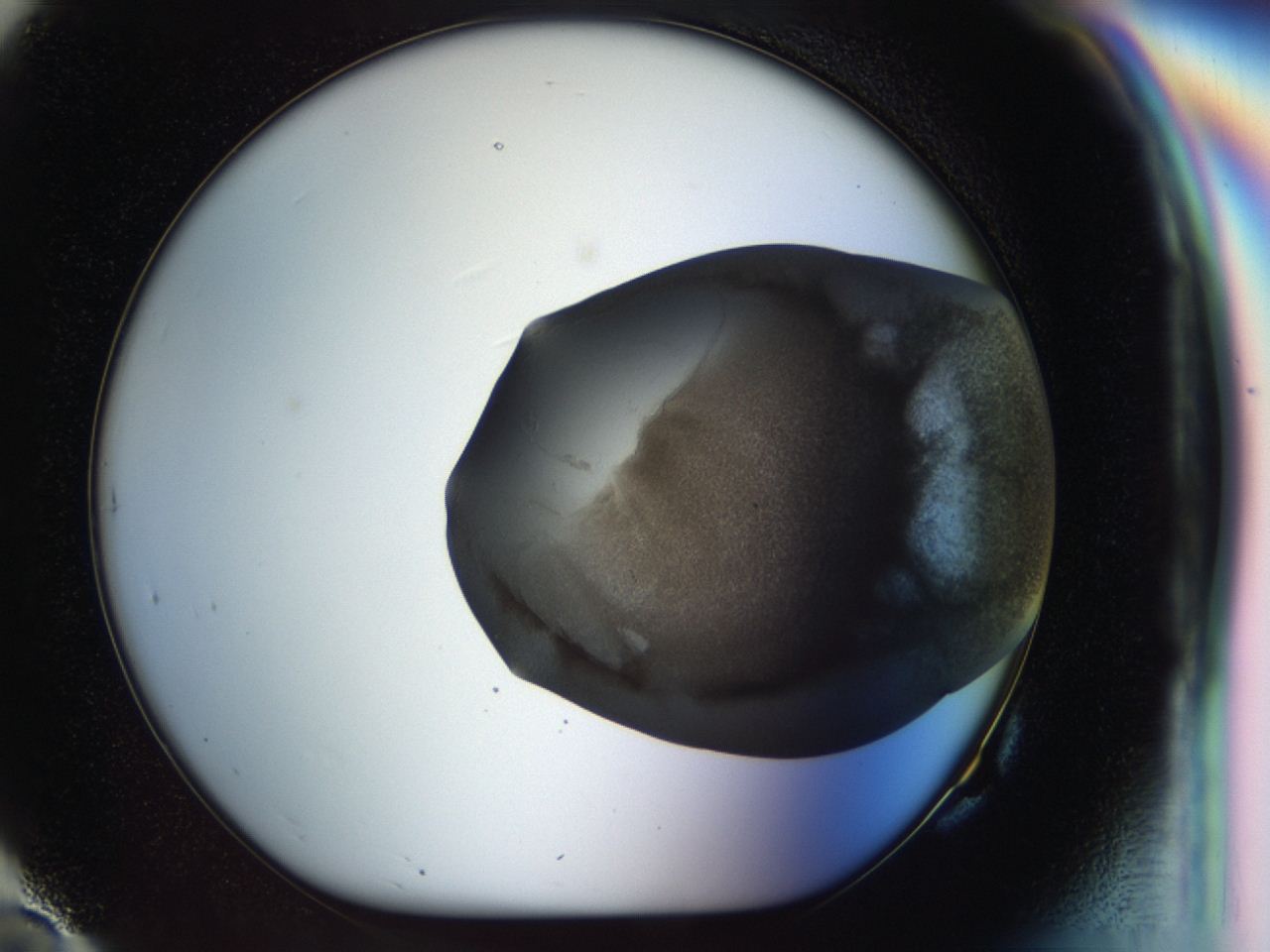 04b1_G10_ImagerDefaults_6.jpg