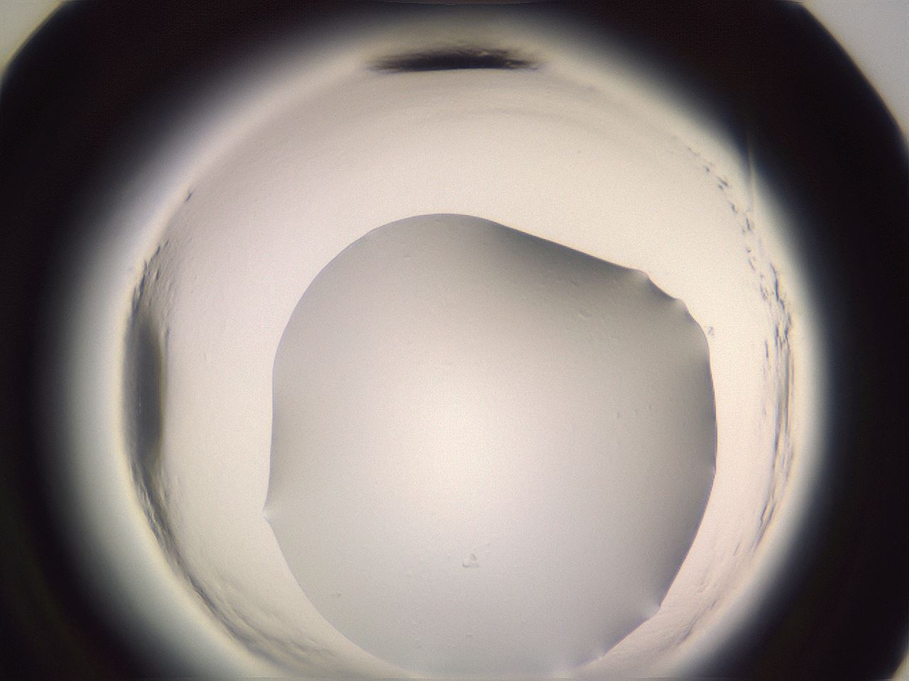 folderID640_plateID2640_batchID15040_wellNum48_profileID1_d3_r214622_ef.jpg