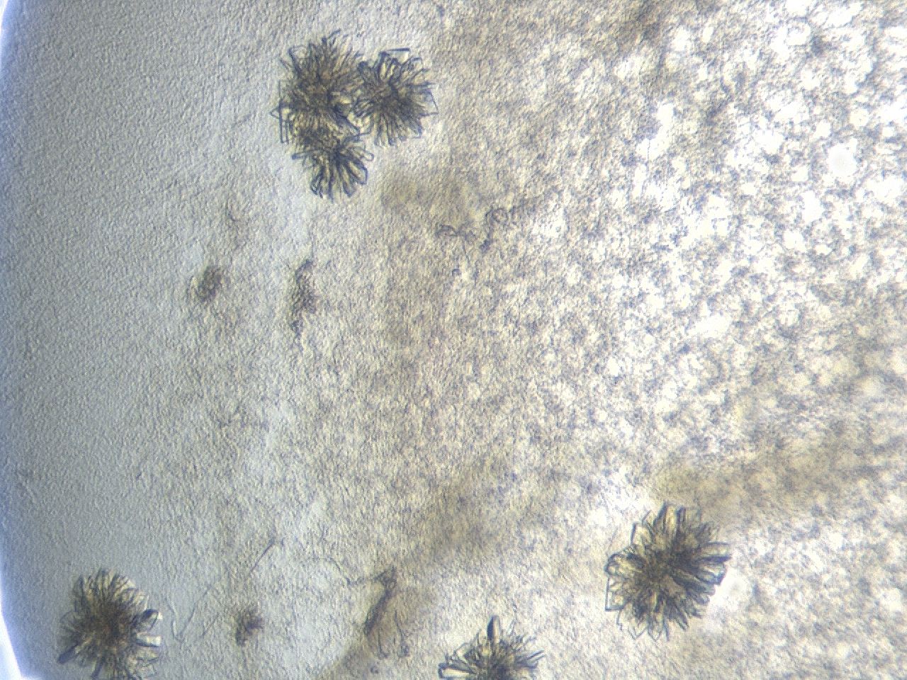 04b3_B10_ImagerDefaults_9.jpg